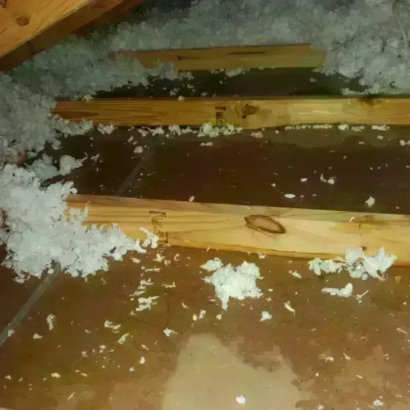 Attic Water Damage in Saratoga Springs, UT